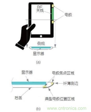 (a)側(cè)剖視圖描述；(b)電極焦點(diǎn)區(qū)域描述