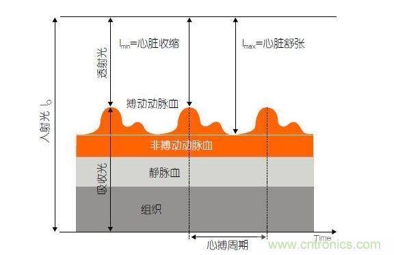 PPG測(cè)量中檢測(cè)器信號(hào)的產(chǎn)生。照射皮膚的光線(I0)被靜脈血或動(dòng)脈血吸收，或反射回檢測(cè)器。信號(hào)的變化分量對(duì)應(yīng)著與心跳同步變化的動(dòng)脈血流量。這個(gè)信號(hào)的變化周期指示了脈率。最小和最大檢測(cè)器信號(hào)的比值(光電流Imin/Imax)為判斷血氧飽和度提供了依據(jù)。