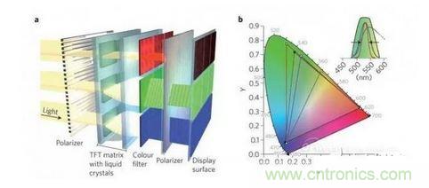  LCD顯示器示意圖。TFT表示薄膜晶體管（thin-film transistor）。