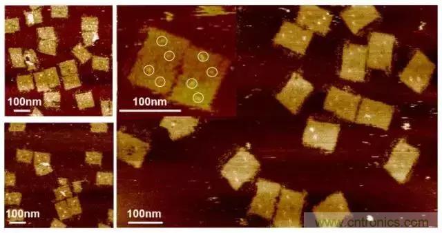 中美科學(xué)家聯(lián)手，用DNA納米機器人殺死癌細胞