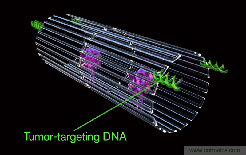中美科學(xué)家聯(lián)手，用DNA納米機器人殺死癌細胞