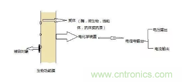 仿生傳感器的定義、原理、分類及應(yīng)用