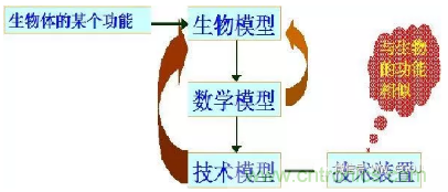 仿生傳感器的定義、原理、分類及應(yīng)用