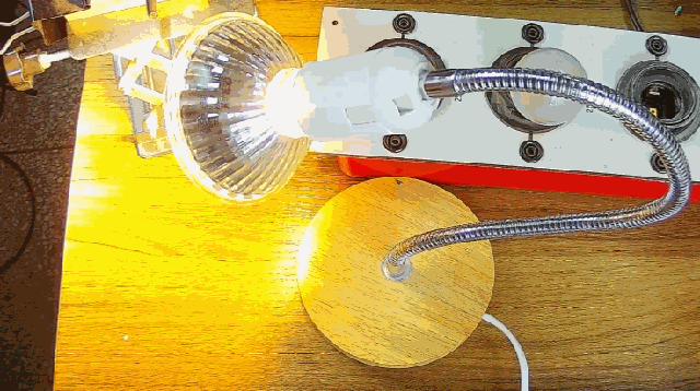 電燈泡內(nèi)通有交流電，為什么看不到燈泡在閃爍？
