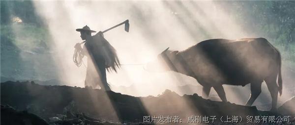 智慧農業(yè)大有可為，“數(shù)字種地”更輕松