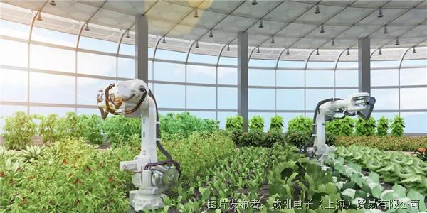 智慧農業(yè)大有可為，“數(shù)字種地”更輕松